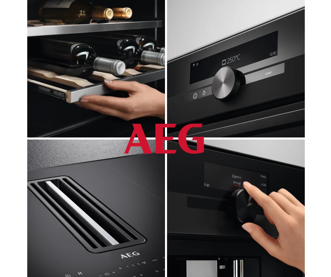 Ремонт всех видов техники и электроники AEG